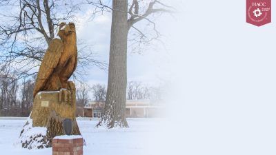 HACC Zoom Background Snowy Hawk