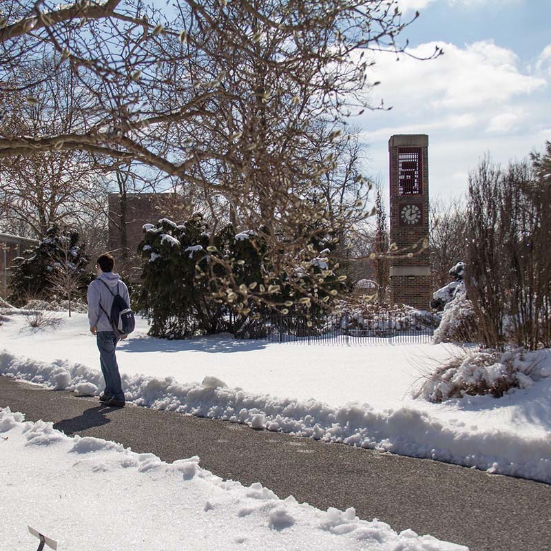 Students walking up steps