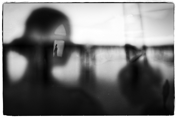 John Whitehead for web white