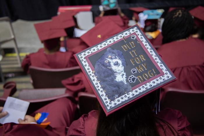I Did It for My Dog graduation cap